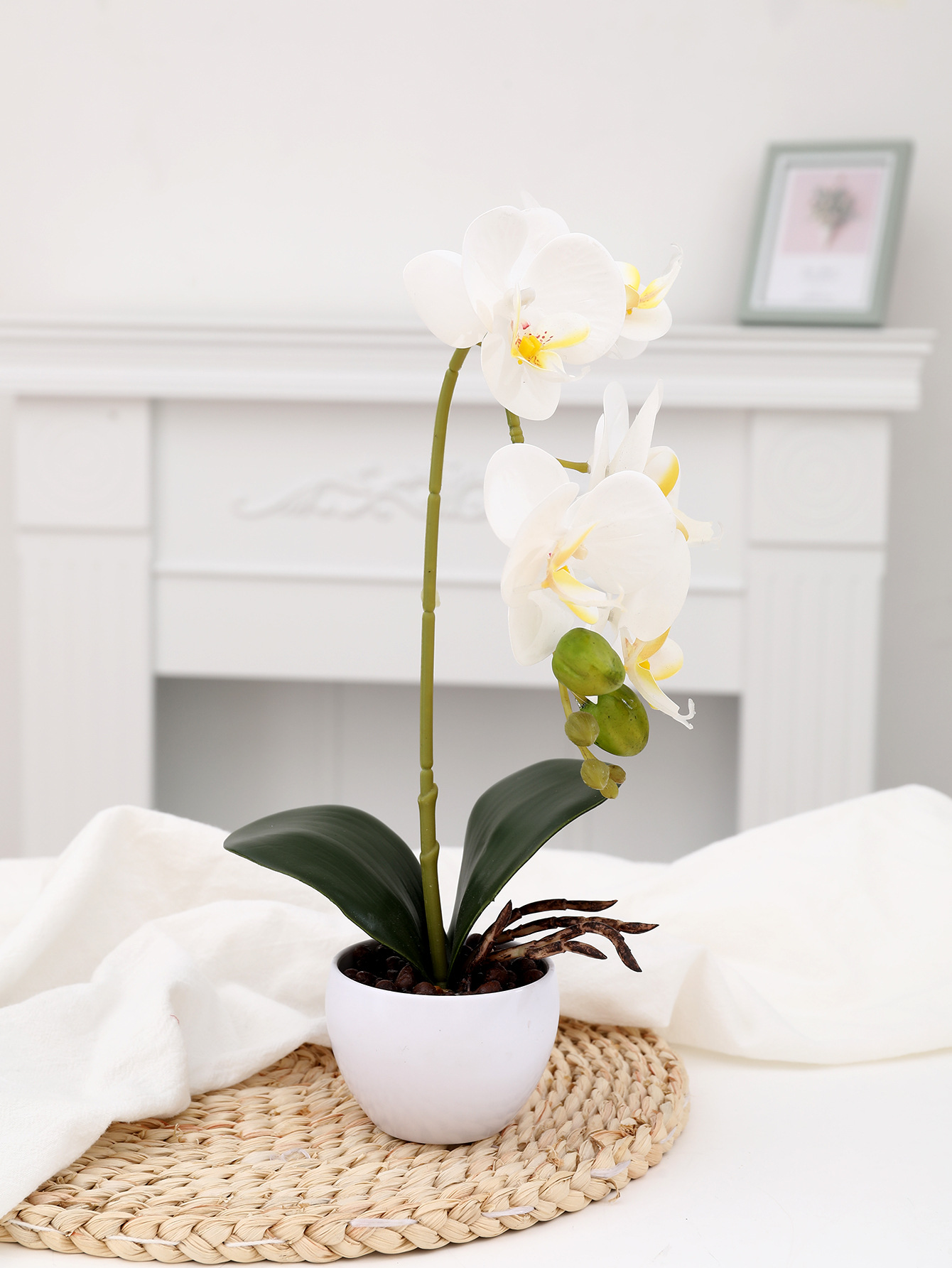 New Two-Fork Phalaenopsis Large Bonsai Green Plant Factory Direct Flower Creative Decoration Artificial Plant Fake Flower Green Plant