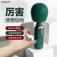 #5 强力迷你欢吟震动按摩AV棒女用自慰器性用品48/箱