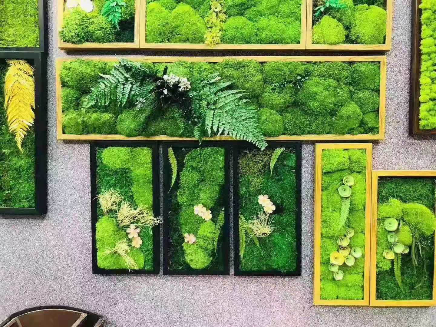 定制永生苔藓相框画青苔球工程软装植物苔藓墙装饰微景观摆件