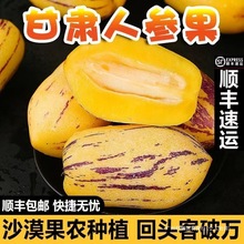 甘肃民勤人参果新鲜水果应季低糖人生果整箱批发包邮圆果端正支持