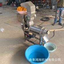 大型不锈钢胡萝卜挤汁机 工业油菜挤压脱水机 立式苹果榨汁机