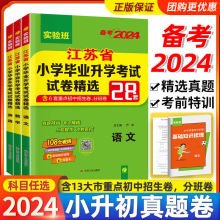 备考2024江苏省小学毕业升学考试试卷28套春雨28套小考总复习