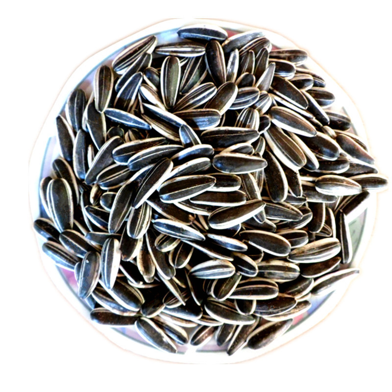 生瓜子 内蒙古生葵花籽新货河套五原炒原味熟葵花子新鲜散装5斤装