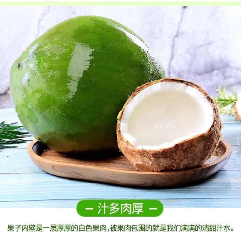 【现摘发货】海南带皮椰青 孕妇水果带皮椰子现摘嫩带皮更健康