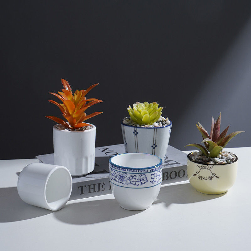 迷你花盆植物图片