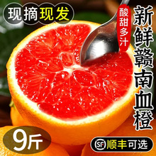 赣南血橙10斤新鲜水果江西赣州寻乌红橙正宗甜橙当季雪橙红心橙子