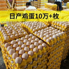 鸡蛋批发【新店冲量】批发价格30枚农家散养笨柴鸡蛋新鲜现捡代发