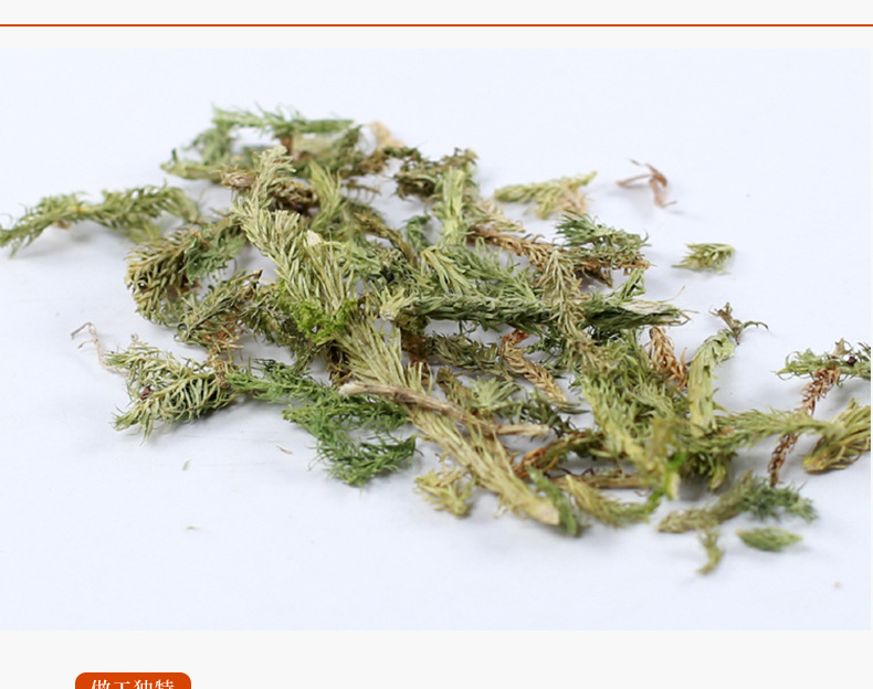 伸筋草中药材散装舒筋草粉狮子尾筋骨草另有益智仁远志中草药
