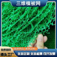 厂家供应加筋三维土工网垫矿山复绿三维植被网河道治理塑料三维网