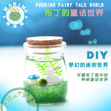 marimo海藻球生态瓶微景观diy造景水养植物盆栽水培礼物迷你摆件