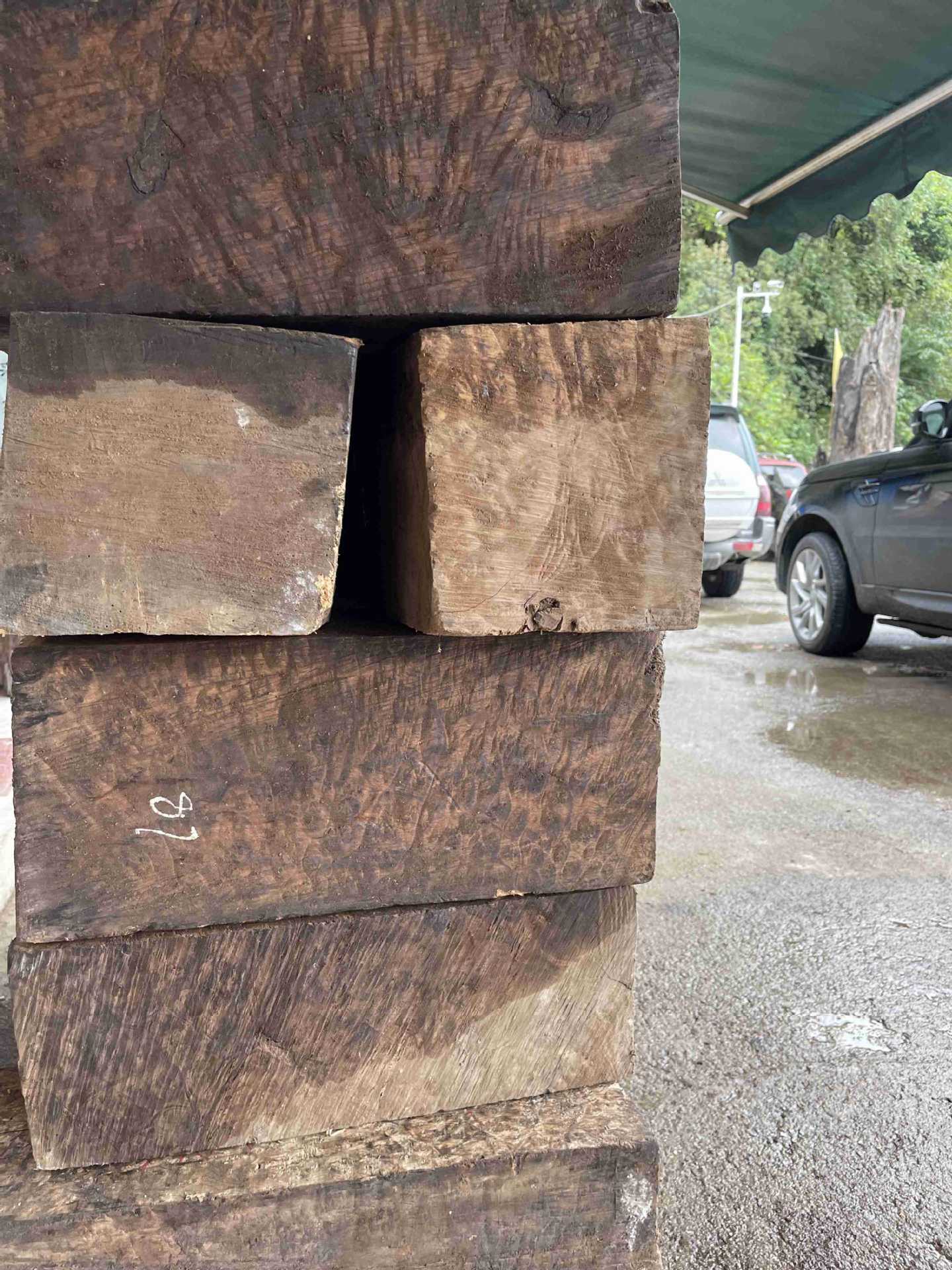 黄金樟木山香果树瘤瘿木原料板材盒子木皮料全干了现货2吨