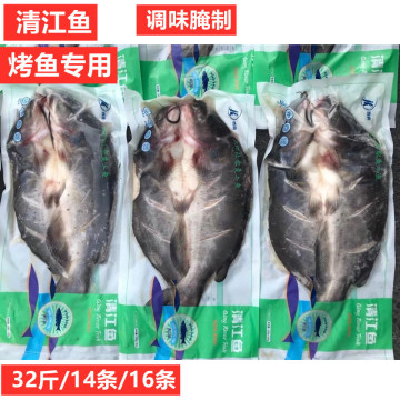 清江鱼14条16条32斤腌制调味鱼鮰鱼冷冻半成品烤鱼商