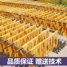 豆制品加工作坊豆皮生产机器 商用人造肉蛋白肉机