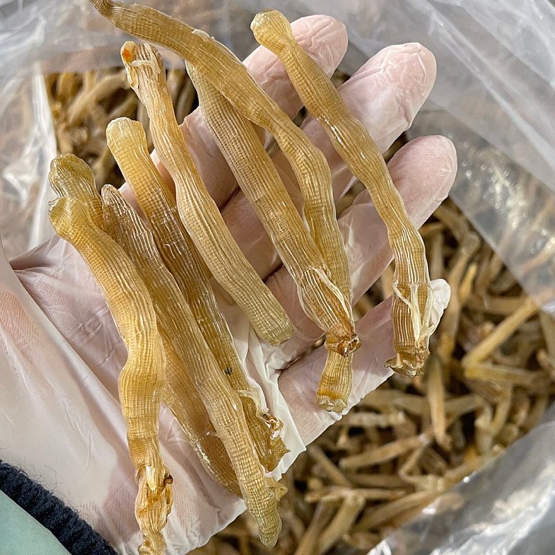 规格立即订购加入进货单买家服务支付方式产品名称:北海沙虫产品干度