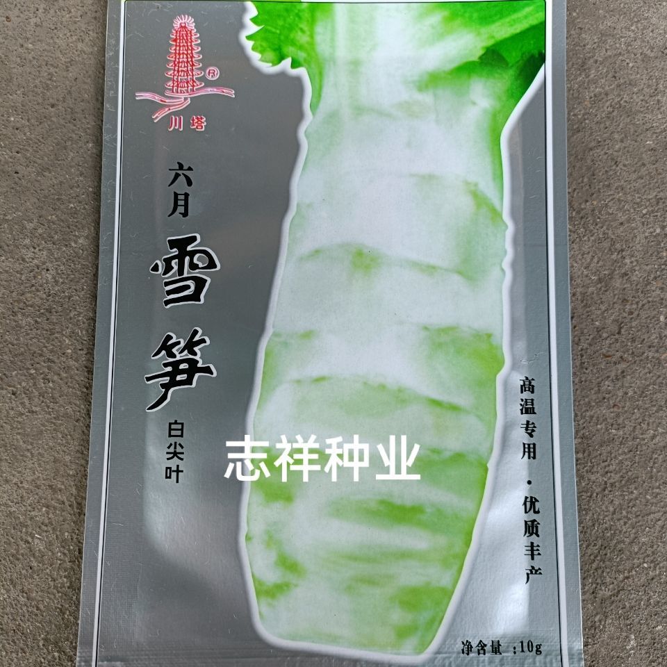 川塔六月雪笋大白尖叶莴笋种子夏季莴笋籽春夏秋种植白皮绿肉10克