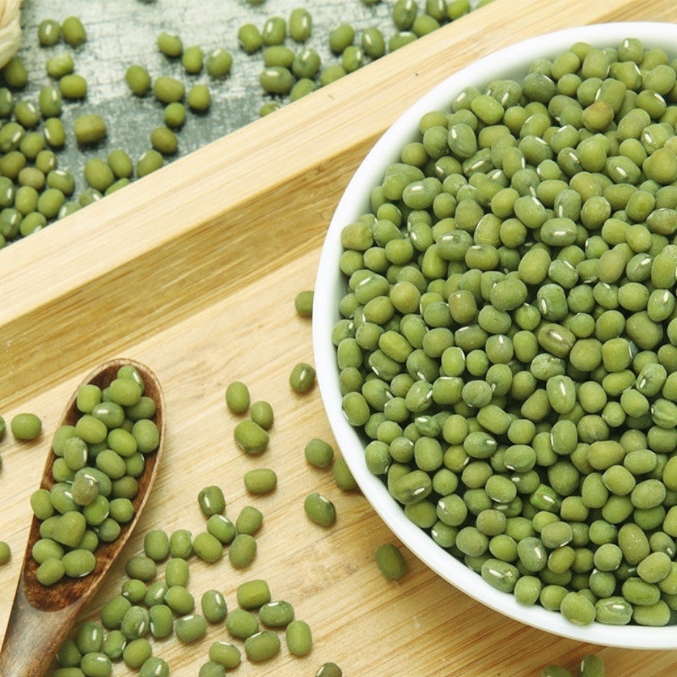 2021年新毛绿豆特级山东农家发豆芽绿豆熬汤配料煮粥新鲜绿豆批发