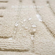 天然硅藻丝抗污防水可擦洗客厅地毯百搭轻奢高级耐脏卧室床边毯