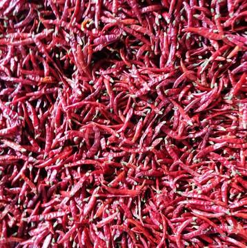 印度辣椒 剪把 高辣印度辣椒s17 大量批发s17-阿里巴巴