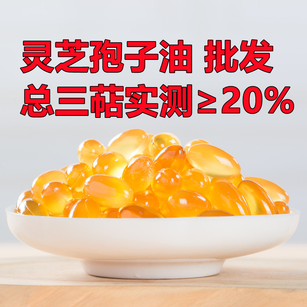 灵芝孢子油批发 三萜≥25%0.5克/粒 段木种植头道灵芝孢子粉提取