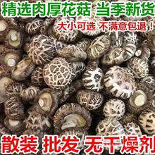 香菇干货花菇剪脚肉厚干蘑菇新货干花菇土特产500g无添加农家