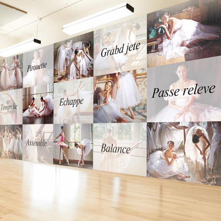 简约唯美芭蕾女孩舞鞋墙纸舞蹈教室壁纸工作室背景墙艺术壁画装修