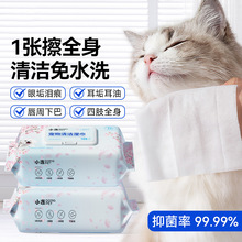 小冻宠物专用湿巾狗狗猫咪眼部免洗清洁泪痕外出宠物清洁用品批发