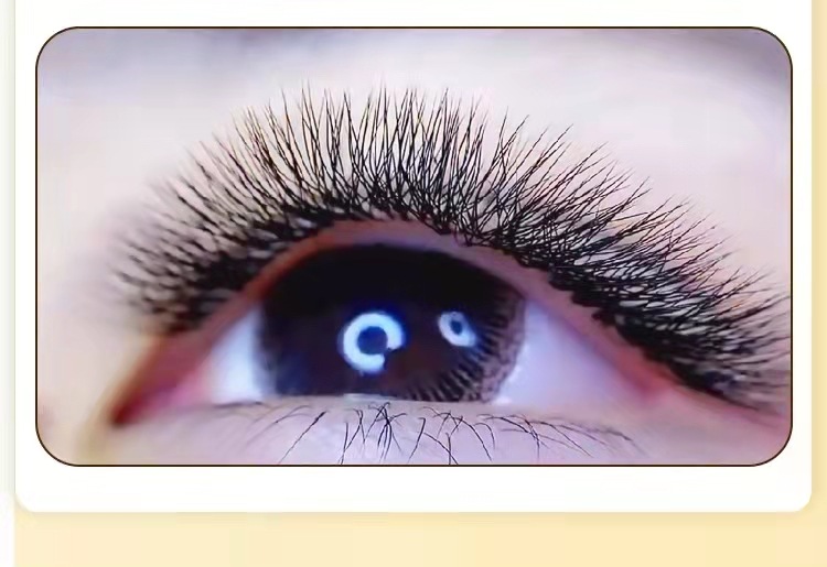 0.05四叶草嫁接睫毛4d自动开花柔软浓密自然不散根美睫店专用批发