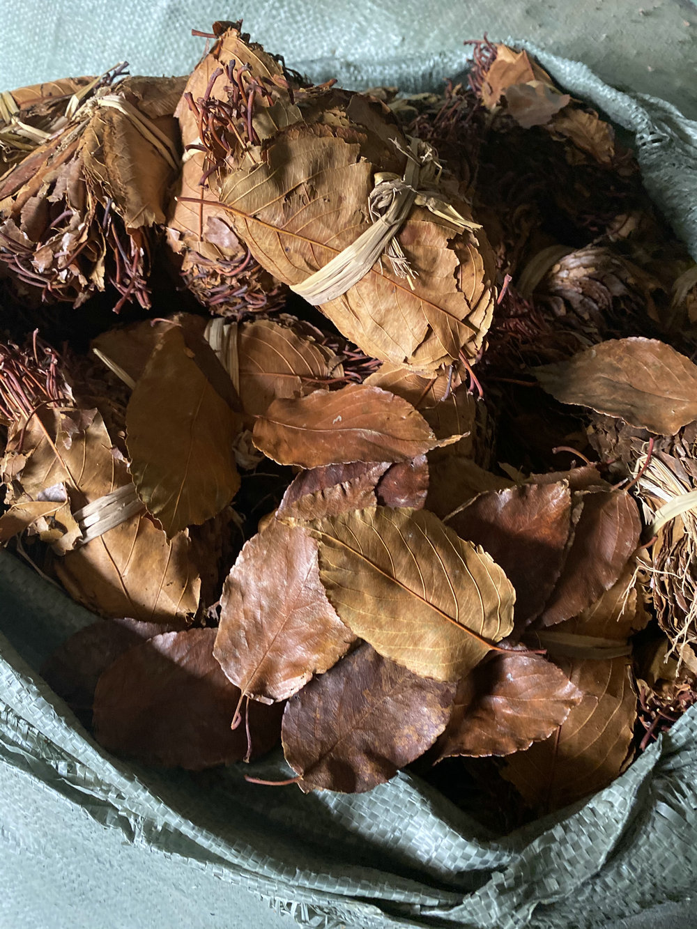 山楂叶 优质山楂叶 物美价廉 产地直销 散叶扎把