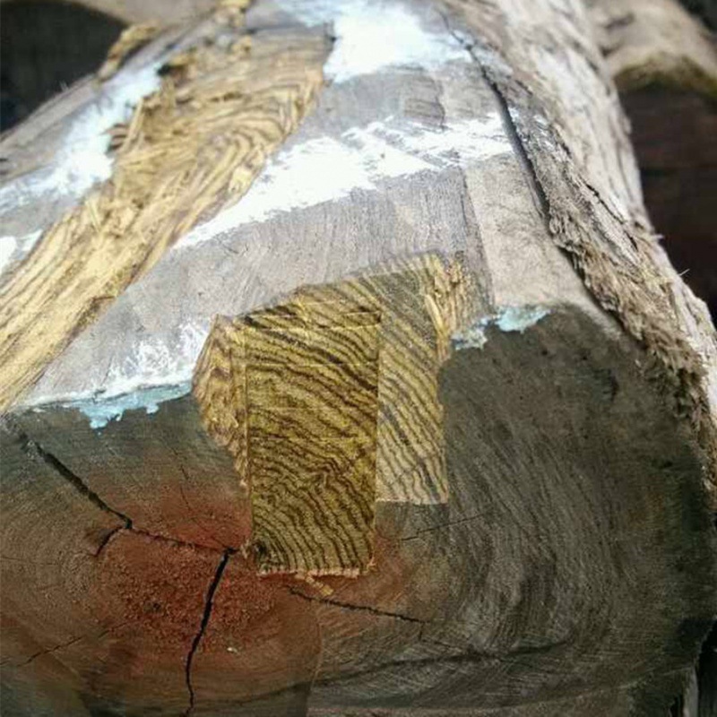 进口墨西哥黄金檀木 虎斑檀原木 黄金檀木方料-阿里巴巴