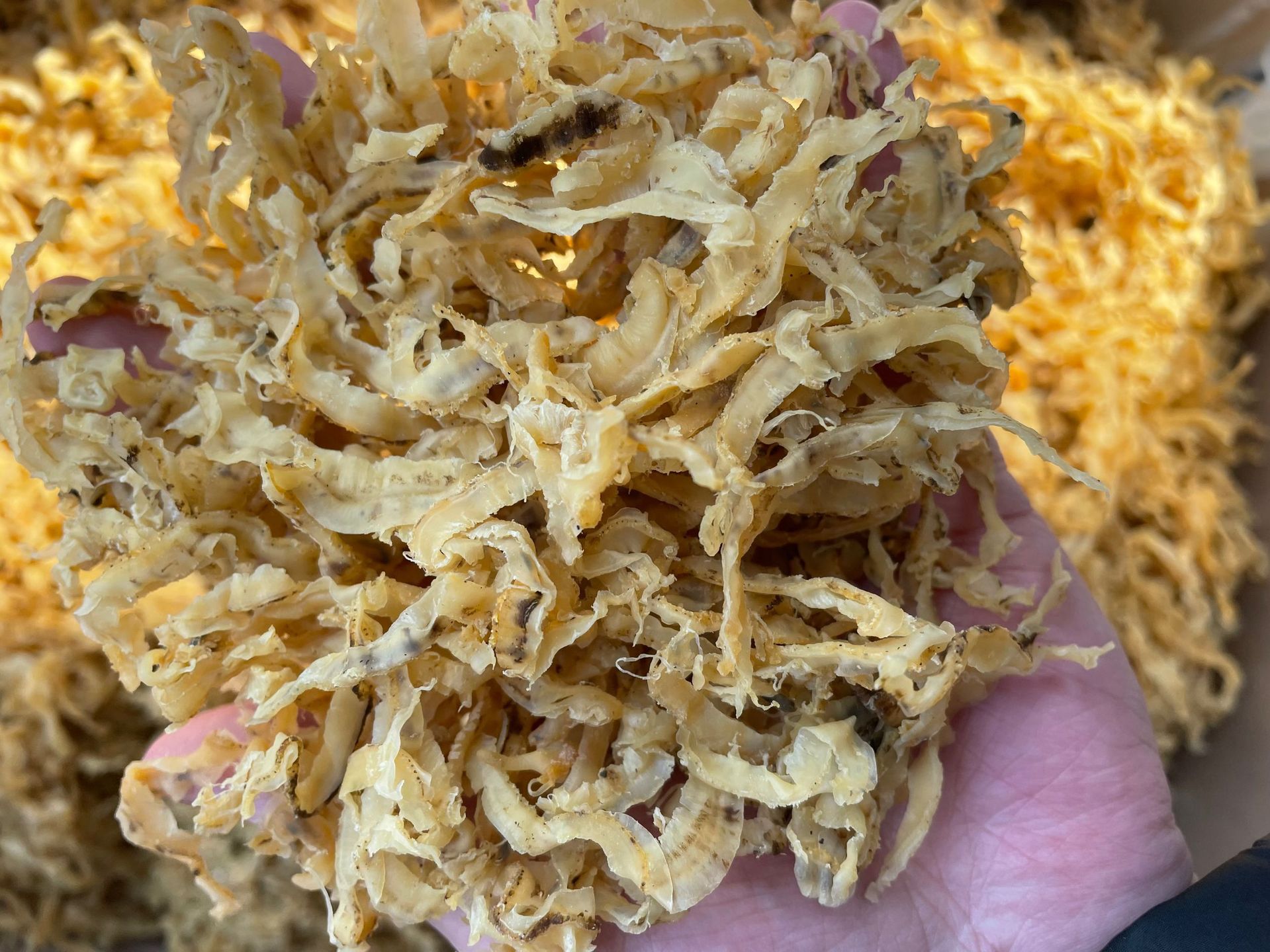 干贝群边(瑶柱边,干贝边,一件40斤)-阿里巴巴