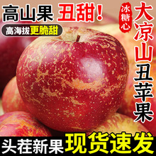 大凉山丑苹果10斤新鲜水果当季现摘盐源红富士冰糖心苹果整箱包邮