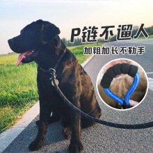 加粗加长狗狗牵引绳训犬p链p绳金毛拉布拉多阿拉斯加狗链子大型犬