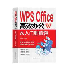 WPS Office 办公从入门到精通 办公室基础电脑软件一套通书籍+杨