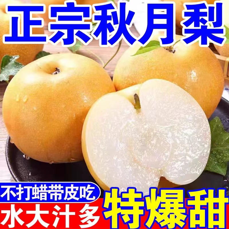 山东秋月梨新鲜冰糖梨子当季水果生梨摘发整箱礼盒包甜产地