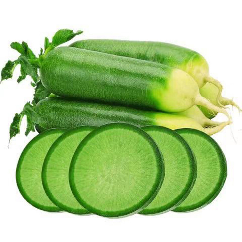 山东潍县萝卜水果萝卜青萝卜甜脆水果型沙窝萝卜10斤新鲜生吃蔬菜