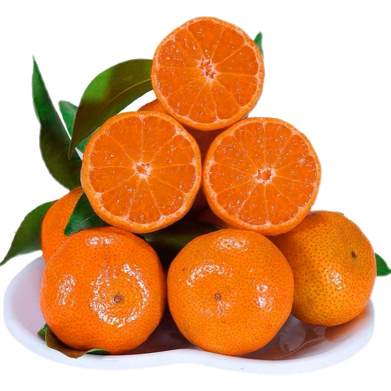 广西砂糖橘当季新鲜水果9斤装整箱柑橘纯甜砂糖桔金桔子