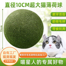 10cm超大猫薄荷球猫咪玩具木天蓼磨牙棒猫零食镂空薄荷球宠物用品