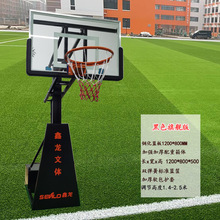 标准球架 青少年儿童户外休闲可移动篮球架 学校家用可扣篮篮框