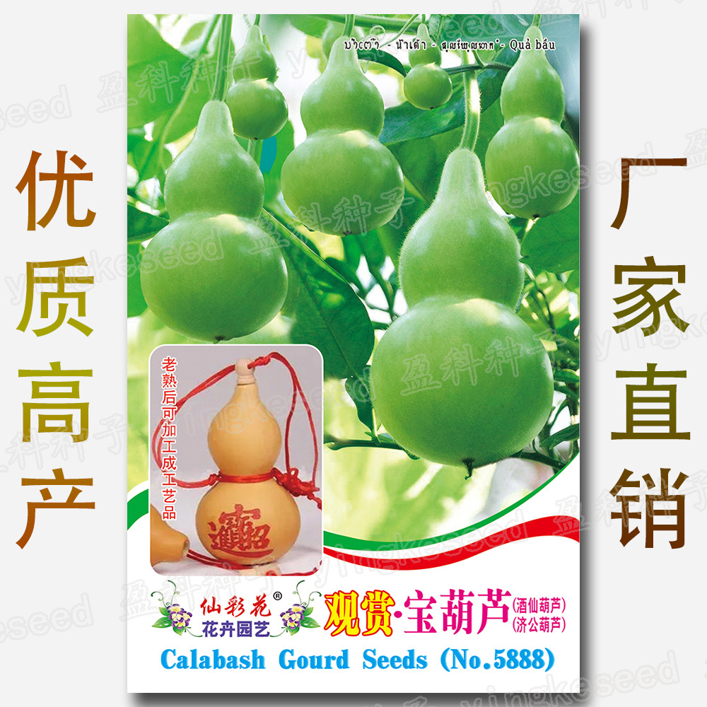 观赏用·宝葫芦瓜种子 约10粒 酒葫芦济公葫芦酒仙瓠瓜宝葫芦种籽