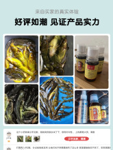 黄颡鱼钓鱼小药昂刺鱼饵料黄辣丁黄骨鱼窝料添加开口诱食剂黄桑鱼