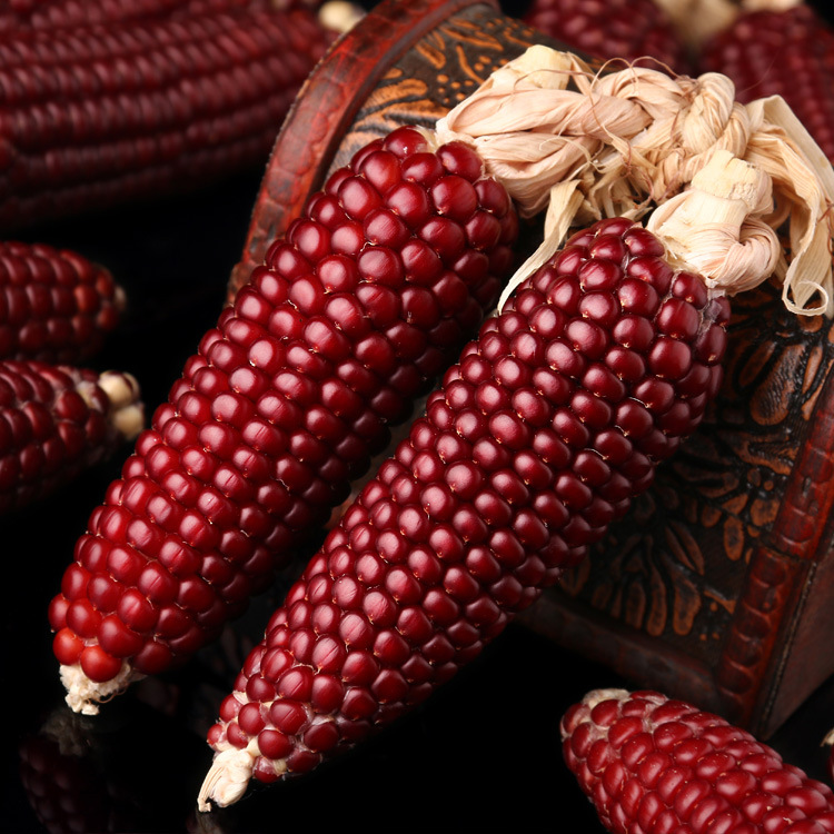 天然文玩玉米小玉米手把件红色菩提迷你盘玩苞米随身礼物挂车饰