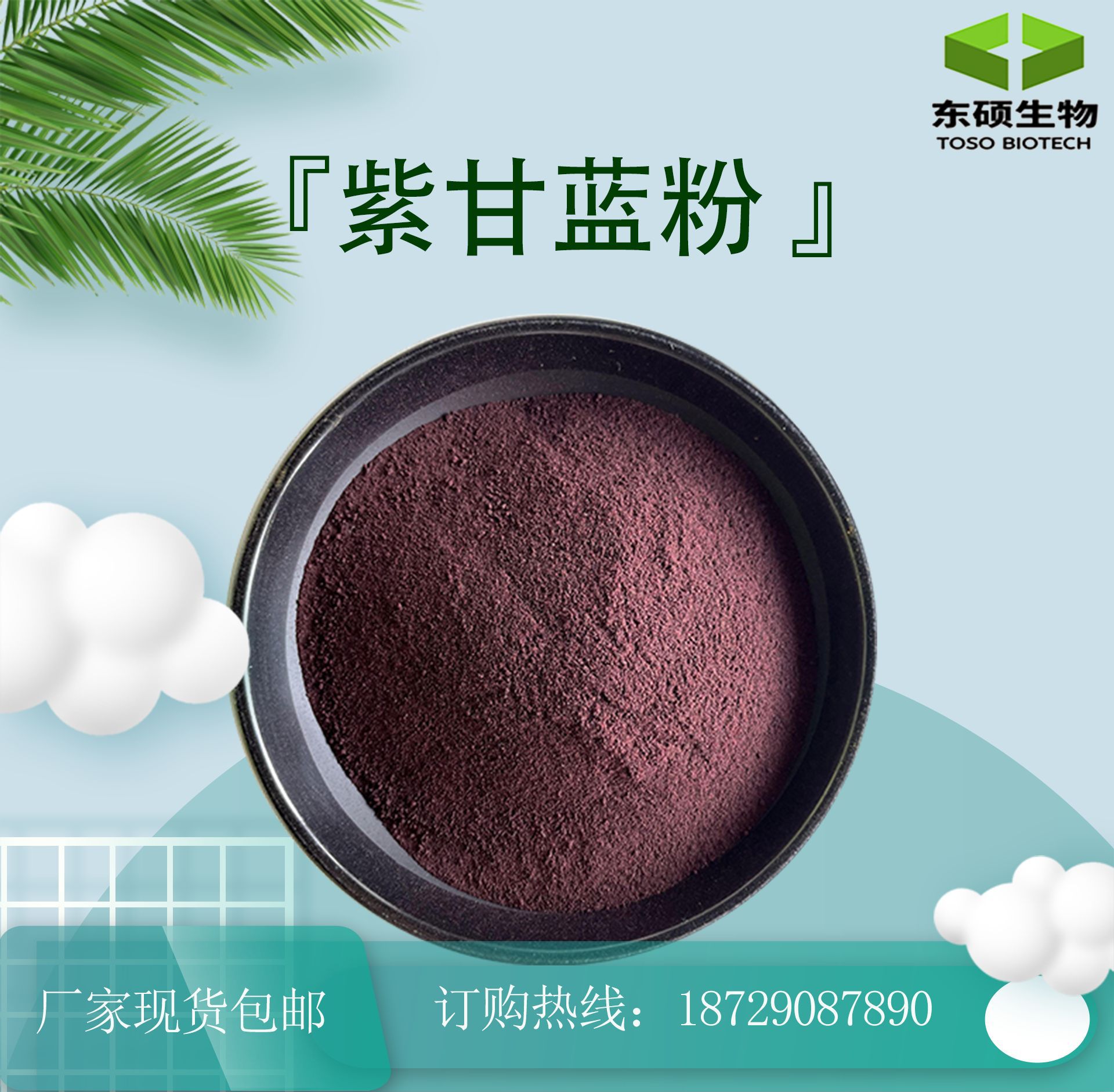 紫甘蓝粉 紫包菜粉 紫甘蓝果粉 紫甘蓝汁粉 现货供应