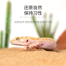 新派reptizoo爬虫沙爬宠沙爬沙钙沙守宫沙垫材蜥蜴饲养箱沙龟用品