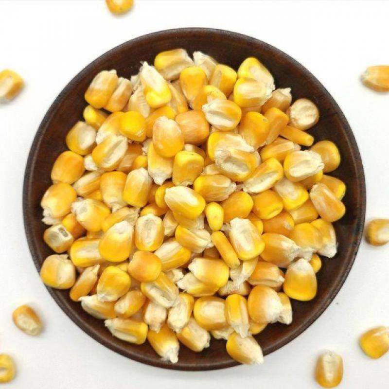 玉米粒喂鸡鸭猪鱼饵饲料农家钓鱼100斤包邮50斤6斤普通散装干玉米