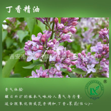 丁香精油Clove oil丁香酚油水产钓鱼香薰护肤按摩口腔丁香花精油