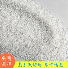 厂家供应草坪填充砂石英砂颗粒高尔夫球场填充用雪花白沙子肌理砂