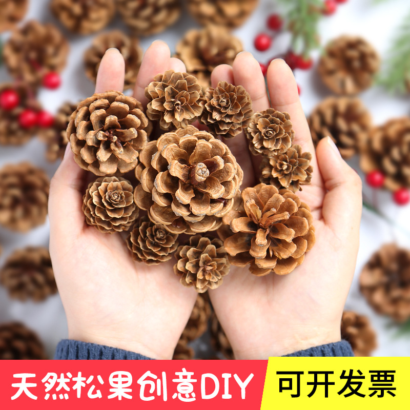 圣诞节天然马尾松果手工创意diy干花森林材料野生松塔幼儿园装饰