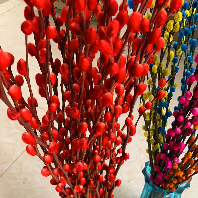 年宵花招财银柳干花真花鲜枝水培植物红色银柳卉福桶客厅室内装饰