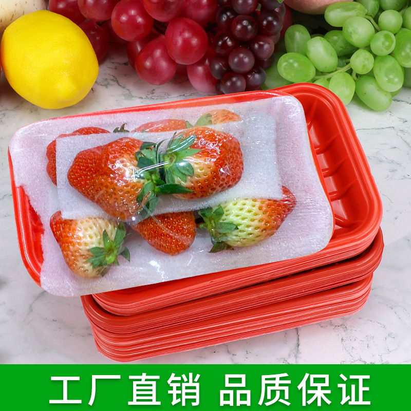 一次性水果草莓包装盒长方形红色超市pp品质蔬菜保鲜塑料生鲜托盘