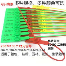 一次性塑料封条鞋包标签防调包扣汽车吊牌扎带煤炭封签物流铅封锁